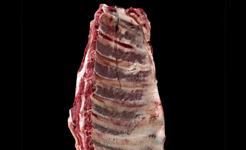 La Magnfica Agropecuaria