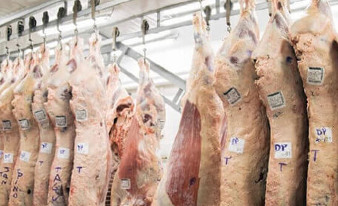 La Magnfica Agropecuaria